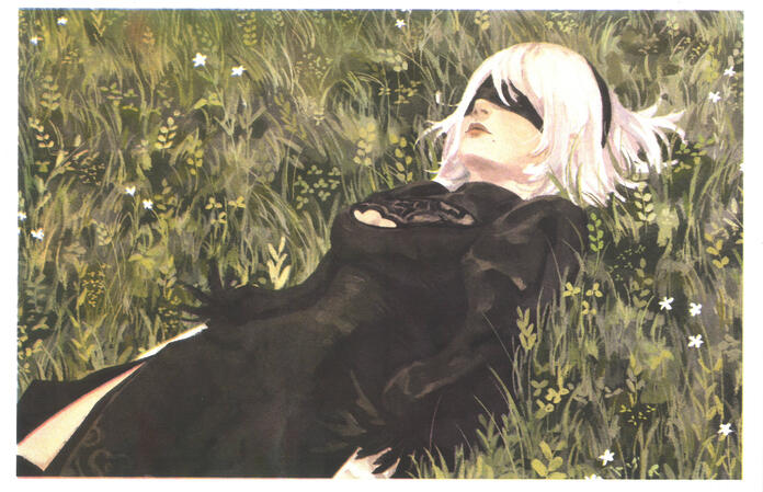 2b 2b
