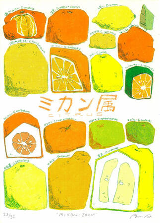 mikan-zoku mikan-zoku